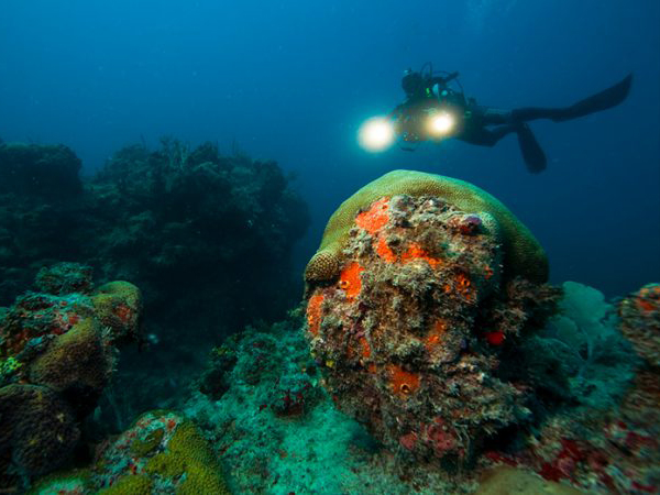 New PADI Dive Centre at Awei Pila